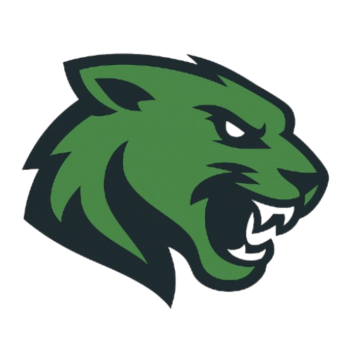 logo Roxnation
